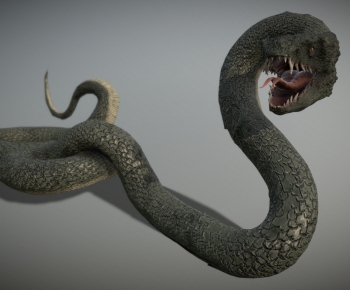Modern Reptile-ID:989682912