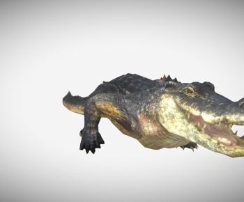 Modern Animal-ID:287302029