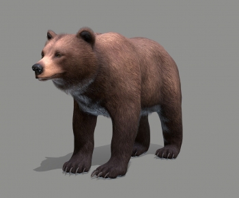 Modern Mammal-ID:381579411