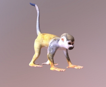 Modern Animal-ID:396609377