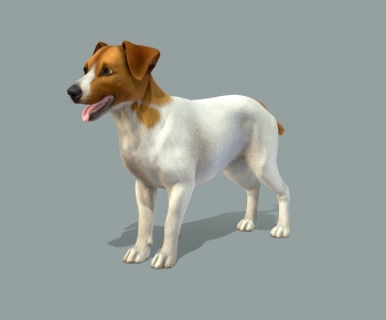 Modern Animal-ID:239881997