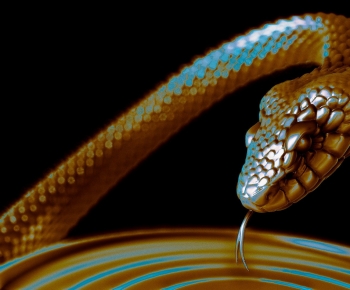 Modern Reptile-ID:898176914