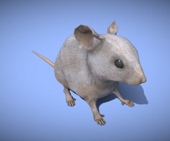 Modern Mammal-ID:599320892