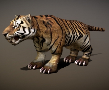 Modern Animal-ID:906584029