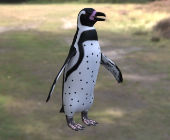 Modern Mammal-ID:347709893