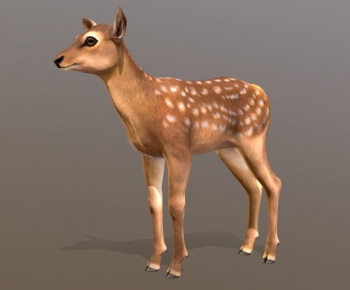 Modern Mammal-ID:899138931