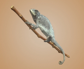 Modern Animal-ID:236594922