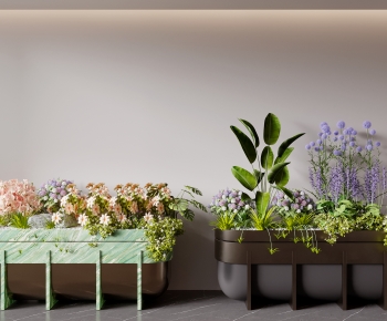 Modern Flower Bed, Flower Bowl, Flower Box-ID:809083944