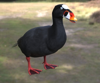 Modern Flying Animals-ID:283752926