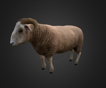 Modern Animal-ID:327138901