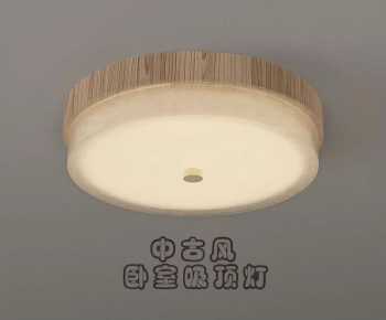 Modern Ceiling Ceiling Lamp-ID:981059116