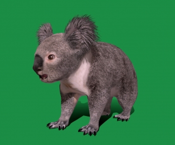 Modern Mammal-ID:123350625
