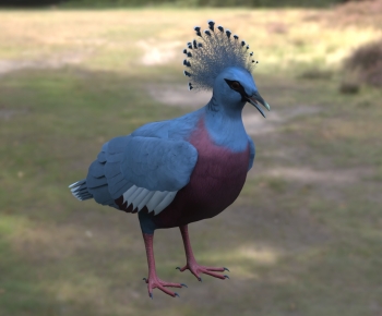 Modern Poultry Animal-ID:973229892