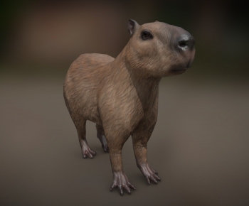 Modern Mammal-ID:259938963