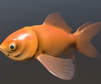 Modern Aquatic Animals-ID:549904119