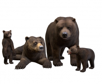 Modern Mammal-ID:318407062