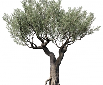 Modern Tree-ID:554604058