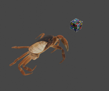 Modern Aquatic Animals-ID:239660982