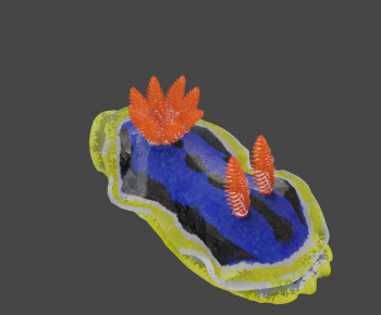 Modern Aquatic Animals-ID:148674012