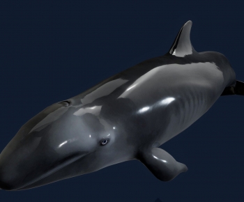Modern Animal-ID:853755956
