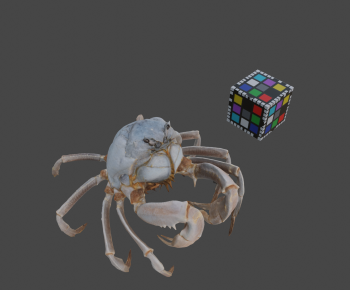 Modern Animal-ID:438839918