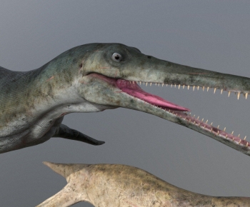 Modern Animal-ID:613576891