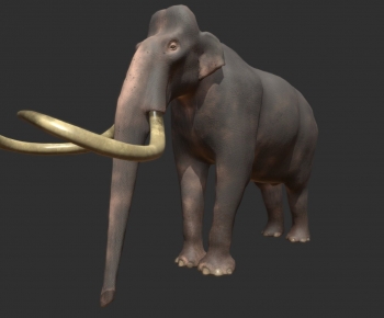 Modern Animal-ID:321822883