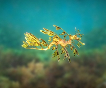 Modern Animal-ID:676316023