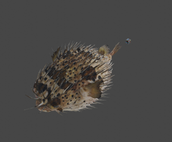 Modern Animal-ID:678169972