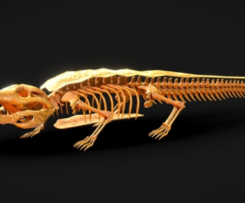 Modern Medical Equipment-ID:253015047