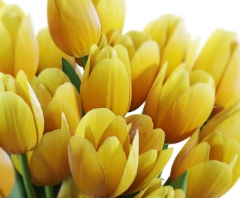 Modern Flower Arrangement-ID:927726988