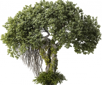 Modern Tree-ID:755352973