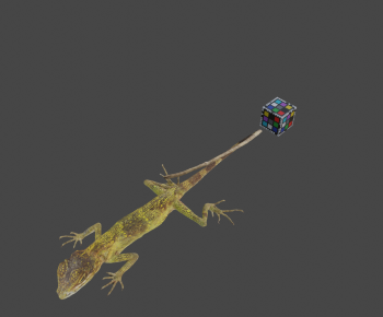 Modern Animal-ID:904508114