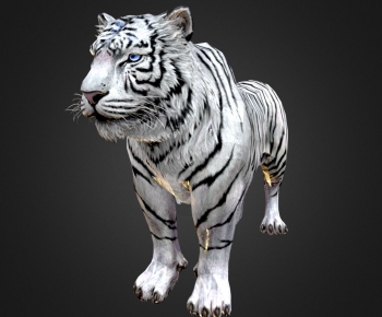 Modern Mammal-ID:429490097