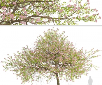 Modern Tree-ID:761754996