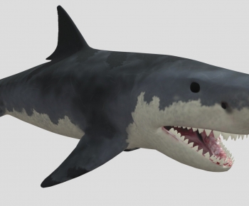 Modern Aquatic Animals-ID:453510361