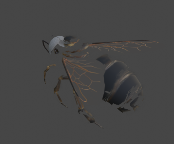 Modern Animal-ID:682296042