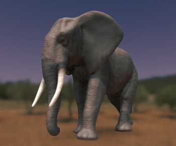 Modern Animal-ID:710942982