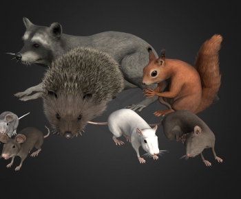Modern Animal-ID:849749091