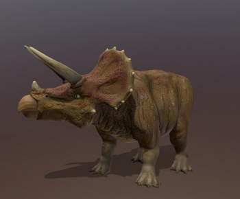 Modern Other Animals-ID:815457111