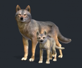 Modern Mammal-ID:298888926