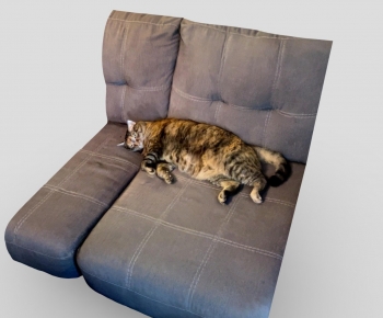 Modern Animal Cat-ID:113898995
