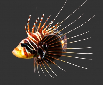 Modern Animal-ID:928160918