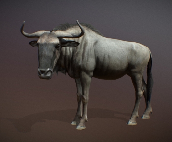 Modern Mammal-ID:324656011