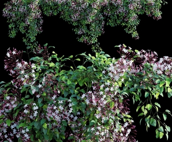 Modern Flowers And Grass-ID:933662891