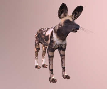 Modern Mammal-ID:913918027