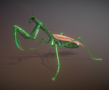 Modern Animal-ID:894048935