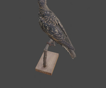 Modern Flying Animals-ID:920021068