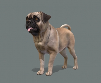 Modern Animal-ID:875139954