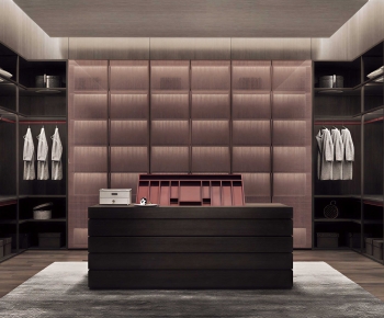 Modern Clothes Storage Area-ID:375745069